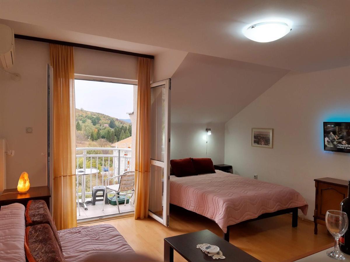 Sky Apartman Соко Баня Екстериор снимка